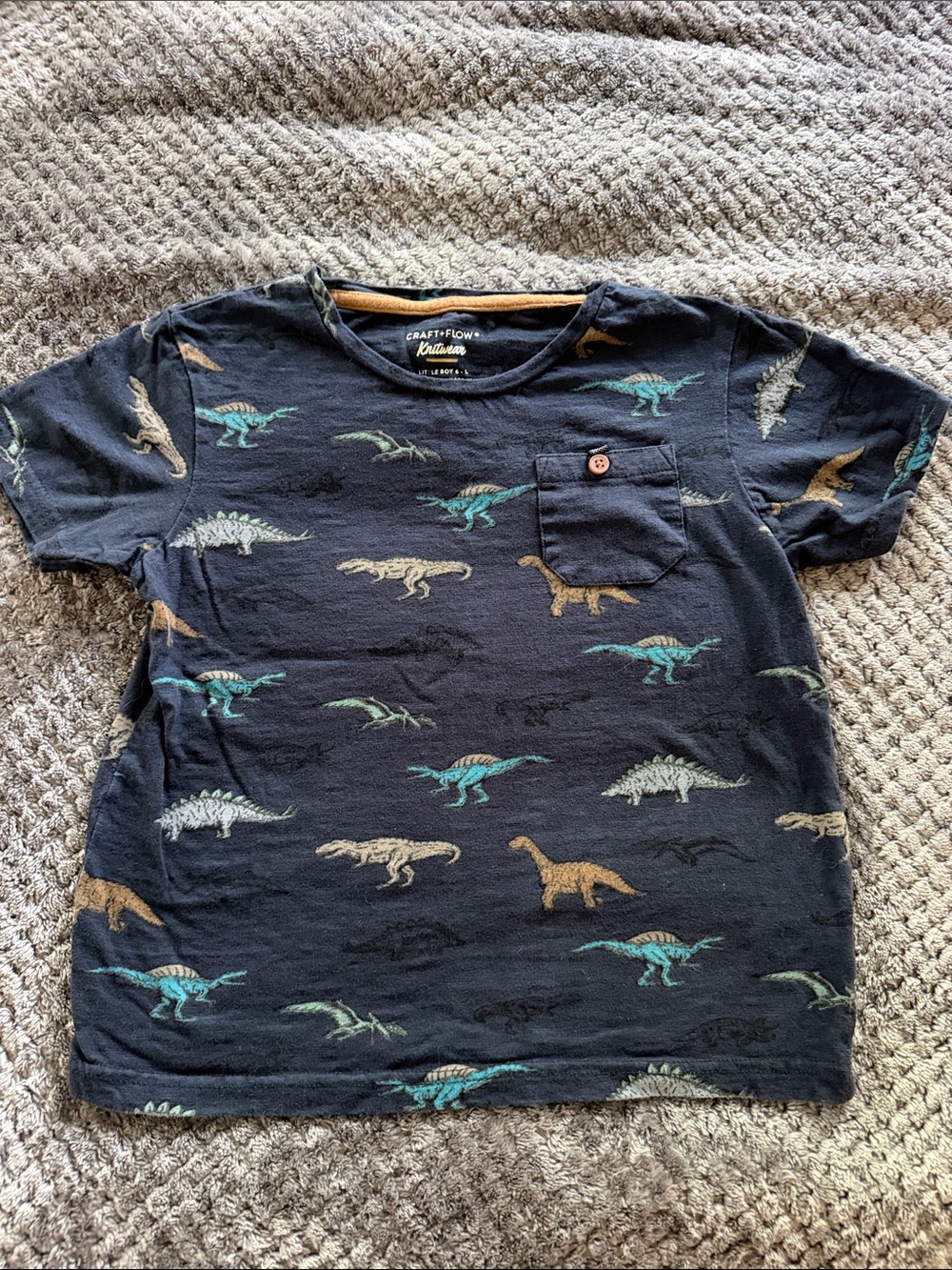 Craft & Flow Kids' Navy Short Sleeve Dinosaur Pocket Tee